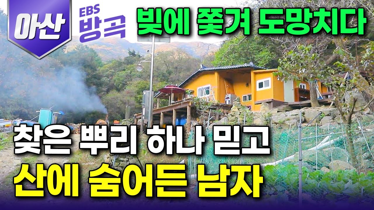 [충남 아산] 