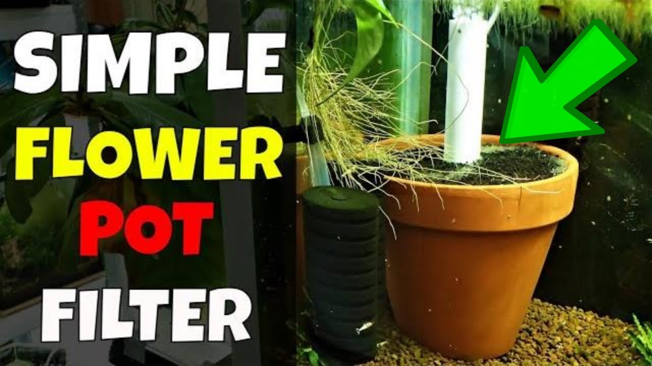 How To Make A Simple Flower Pot Filter For Shrimp Tanks