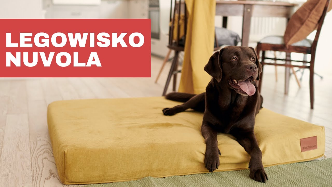 Legowisko ortopedyczne Nuvola