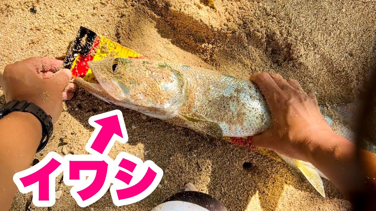 【沖縄ルアー】謎のボイルに投げるとアレが釣れた【石垣島釣り】