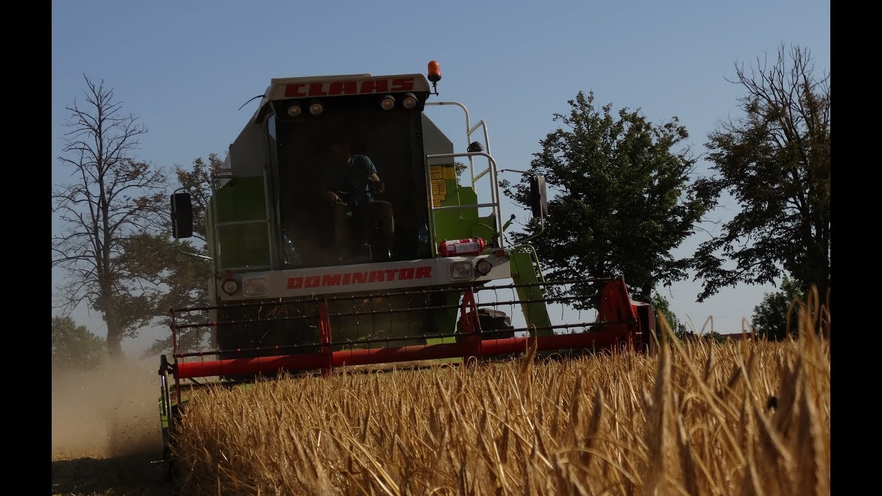 Żniwa 2019 jęczmień zimowy ✔ Claas 78☆Kujawy☆