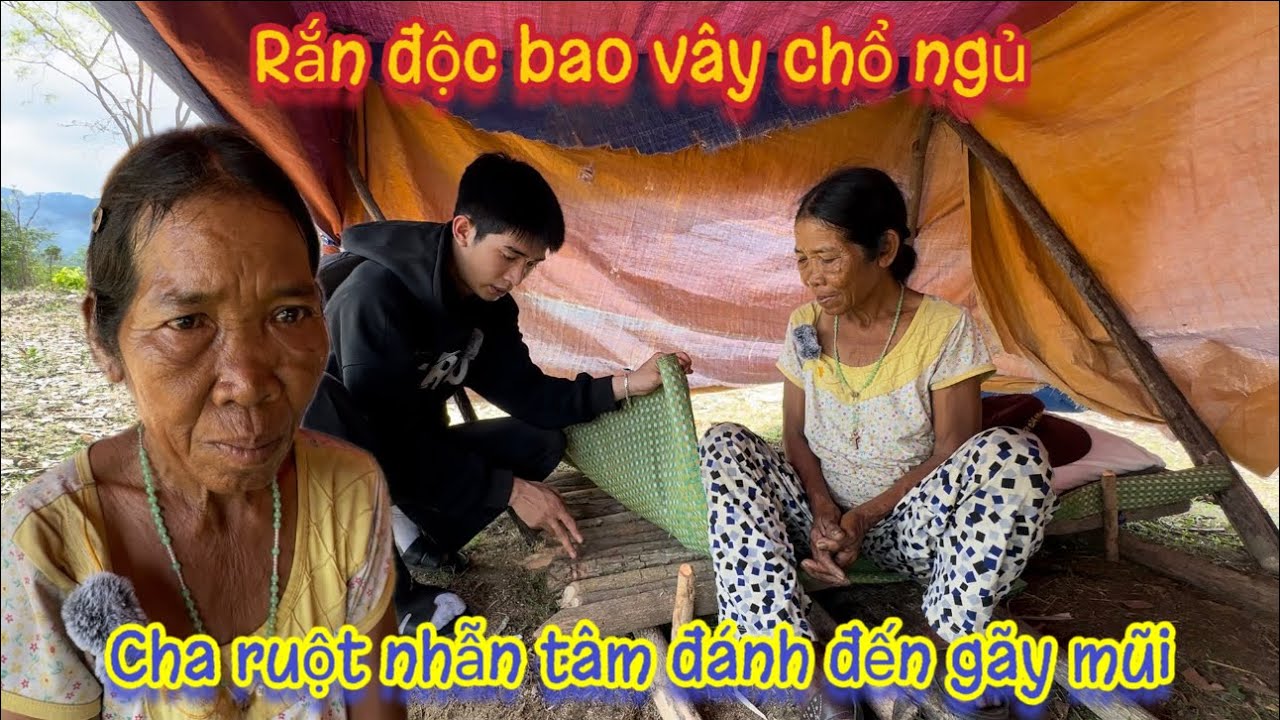 Cụ bà sống ẨN CƯ bên trong khu vực nhiều RẮN ĐỘC, phải đi xin ăn để TỒN TẠI. Tập 475