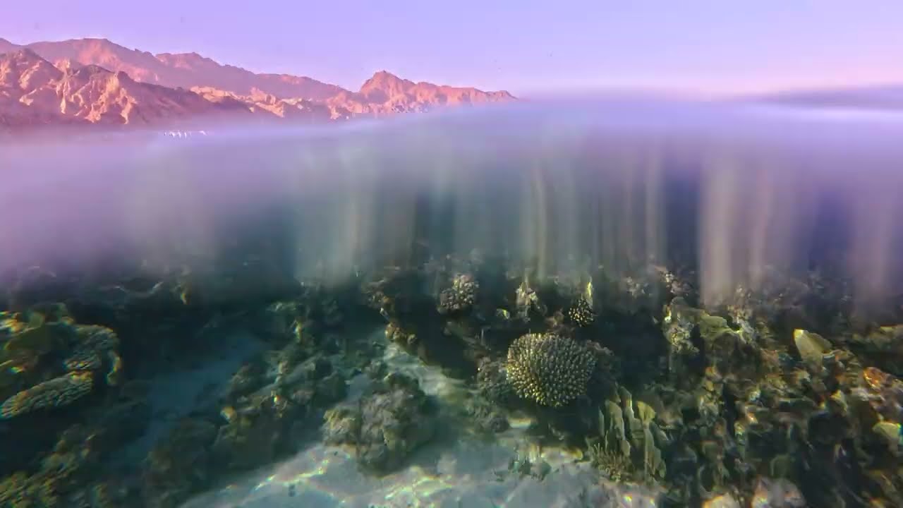 Swim with me at Daniella Resort low tide low wind in 4k with my new electric kickboard