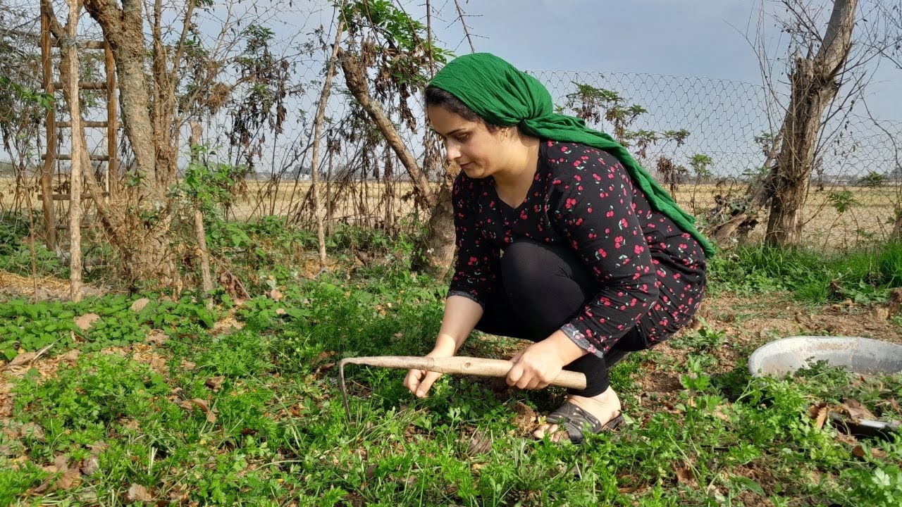 Village life in Iran/Cleaning vegetable garden🌱🍀 & Making halva do🧆