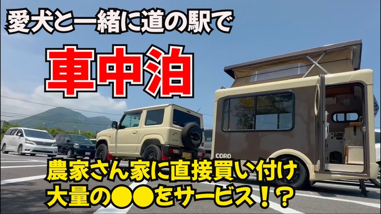 【島原のおいしい車中泊旅】農家さんに朝採れの甘〜いトウモロコシ🌽を直接買い付け‼️絶品ロールケーキや、売り切れゴメンの海鮮丼🐟カキ氷屋🍧癒しのそうめん流しスポットを一挙に紹介します‼️
