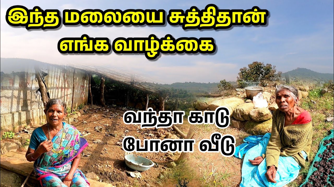 இந்த மலைய சுத்திதான் எங்கள் வாழ்க்கை | வந்தா காடு போனா வீடு | கோதுமை காடு |