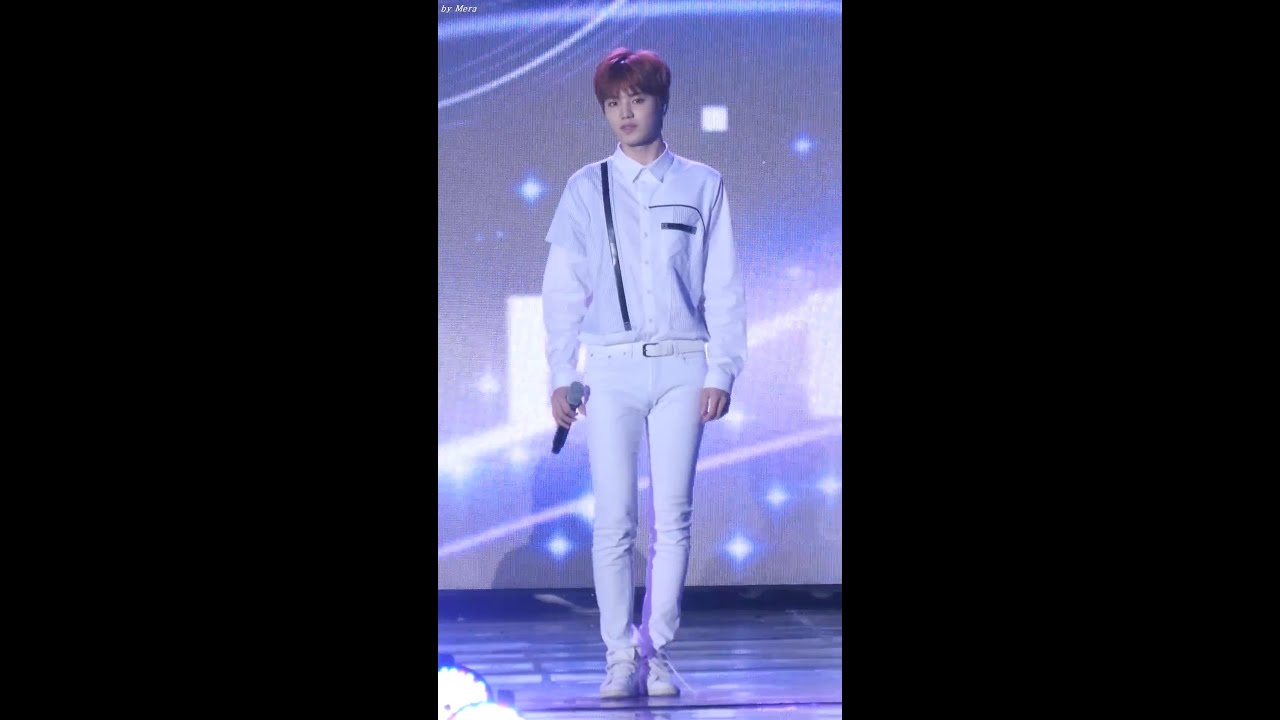 150814 인피니트 (INFINITE) - 러브레터 Love Letter [성종]직캠 Fancam (임진각) by Mera