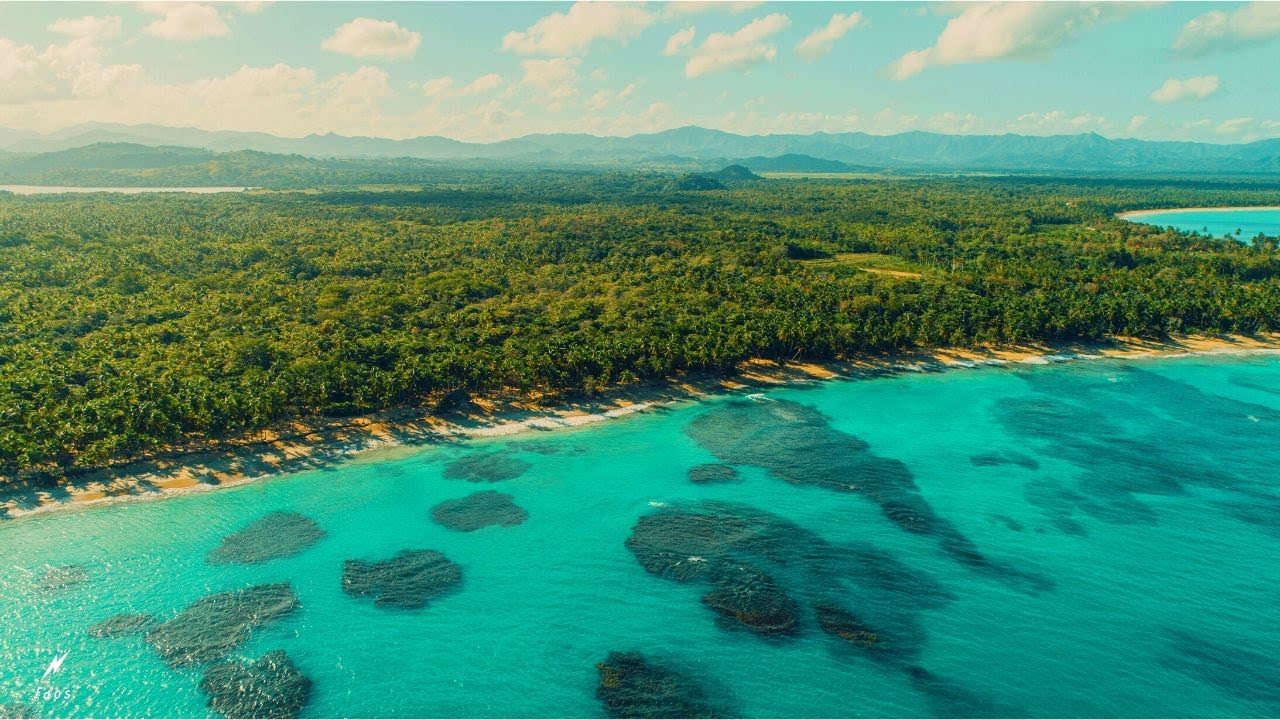 Faos &mdash; Green Paradise 🍍 (Tropical House)