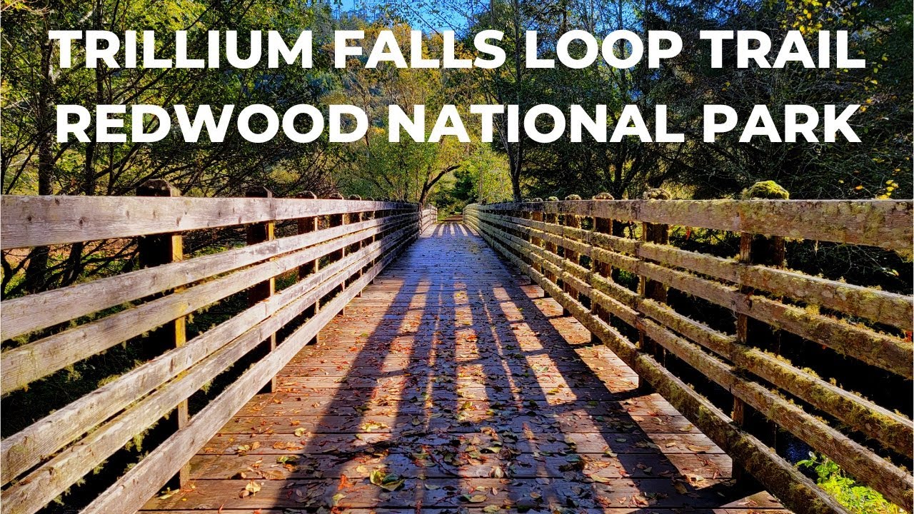 TRILLIUM FALLS LOOP TRAIL REDWOOD NATIONAL PARK