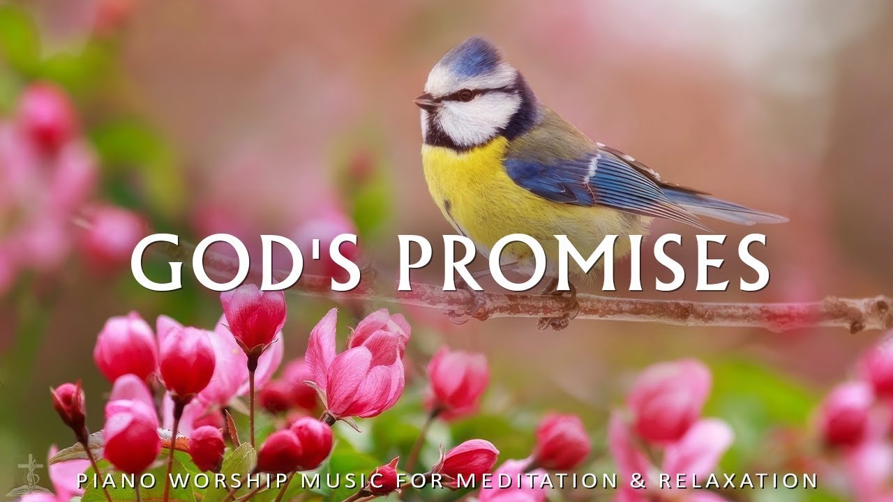 God's Promises: Prayer Instrumental Music, Deep Focus 24/7 - Music For Studying, Work And Meditation