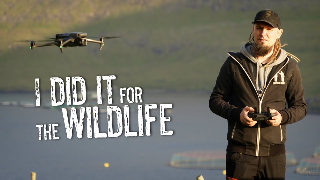 2024 in the Field — Wildlife Conservation Highlights