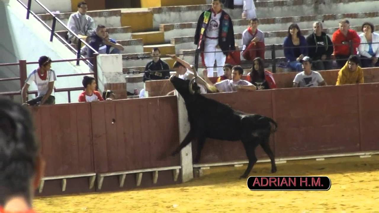 TERUEL 7-7-2012 FERIA DEL ANGEL SUELTA DE VACAS ENFUNDADAS DE ZAPATERIA I OZCOZ