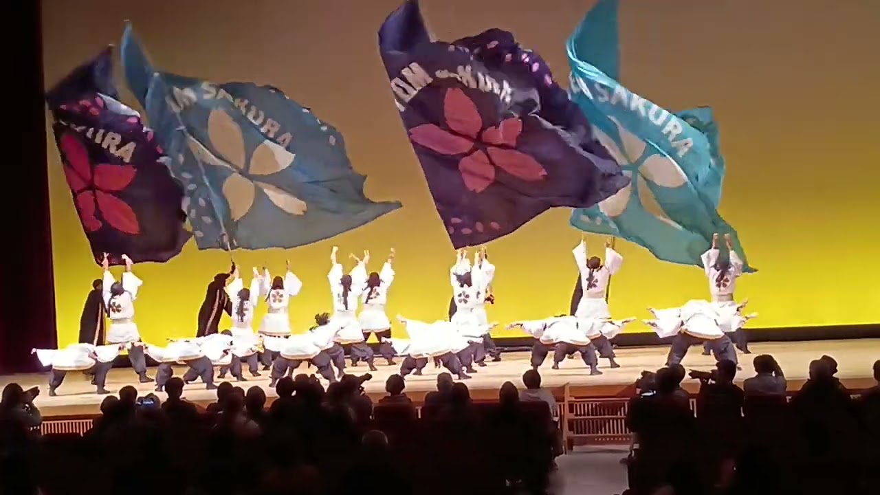 20251122秋田ふるさと村よさこいフェスティバル　TEAMSAKURA