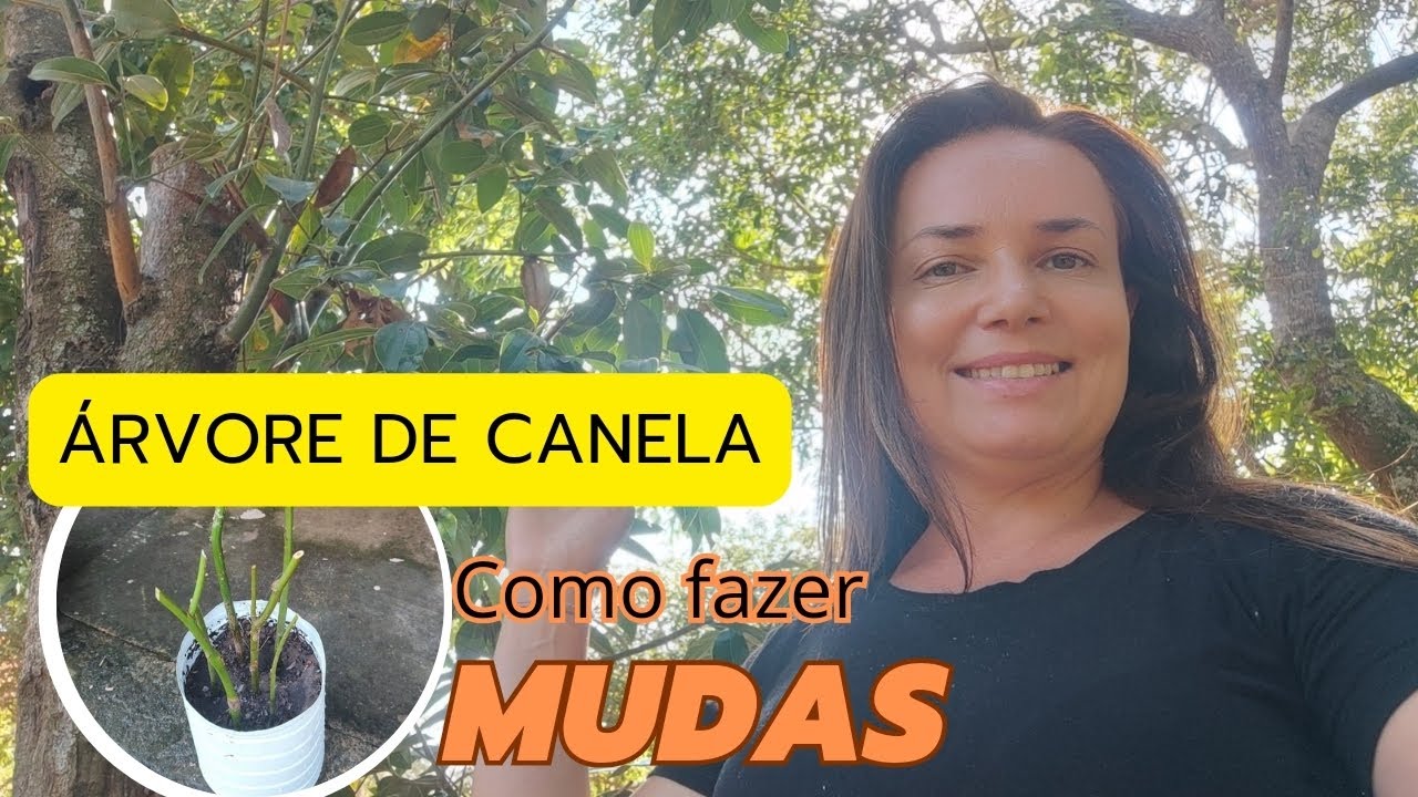 Como fazer MUDA de CANELA