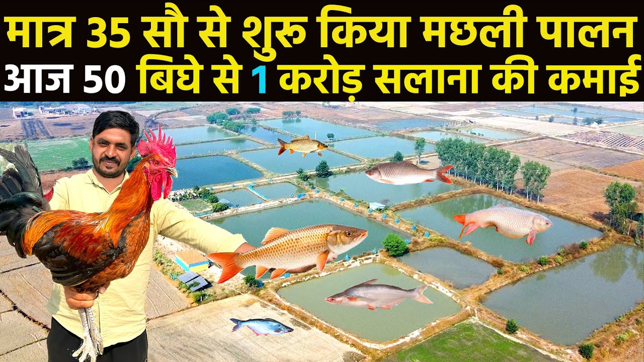 Machli palan business kaise kare॥Fish farming॥fish farming business