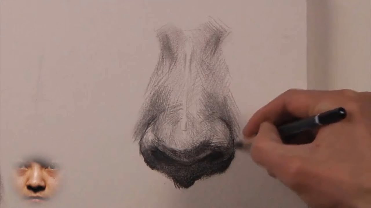 Basic Drawing - How to draw Nose