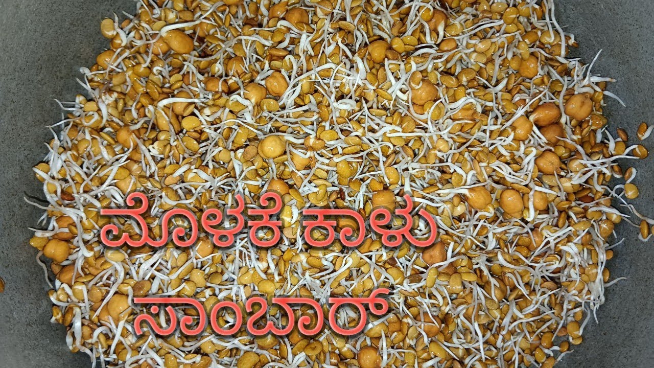 ಮೊಳಕೆ ಕಾಳು ಸಾಂಬಾರ್  /molake Kalu sambar /kannada recipe in 2025 /