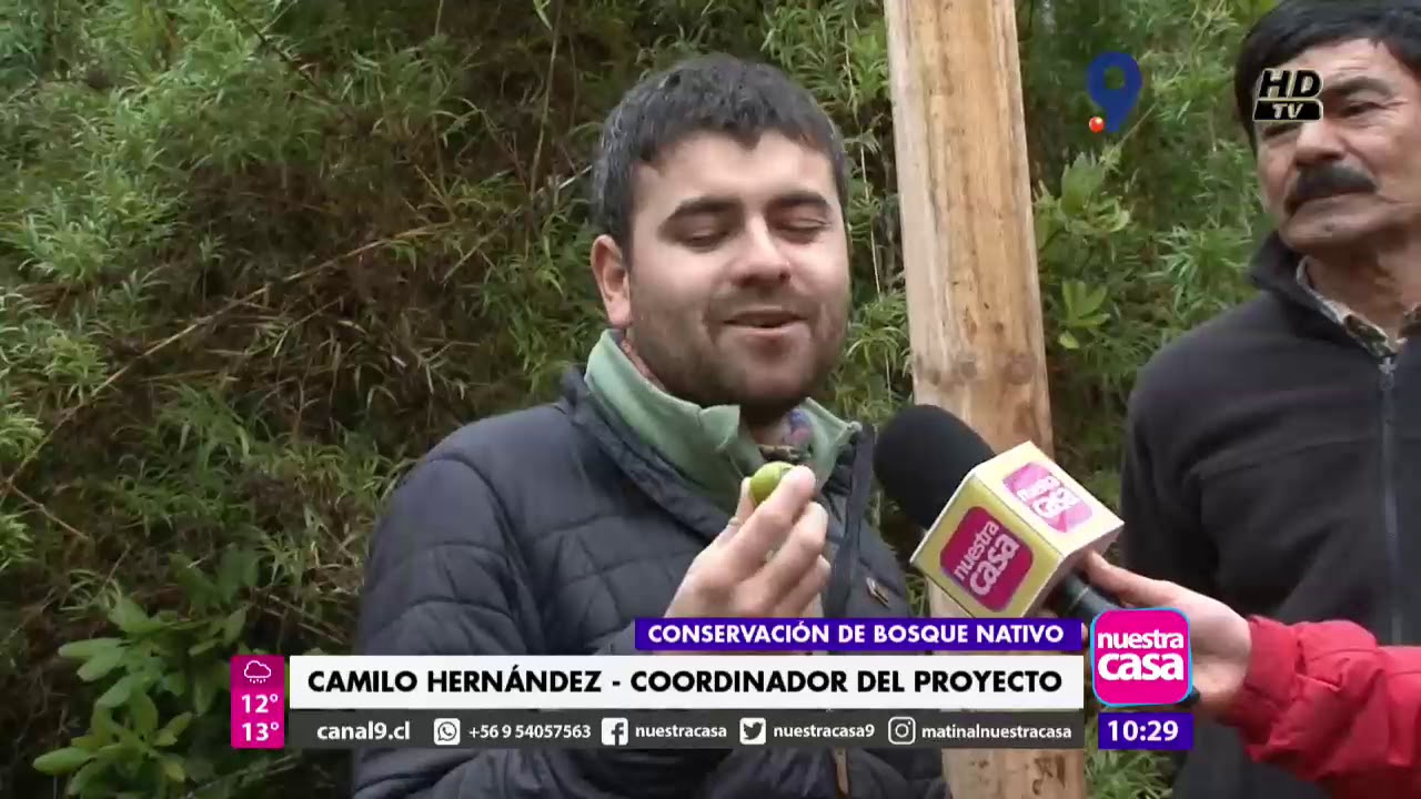 PROYECTO CONSERVACIÓN BOSQUE QUEULE Y PITAO