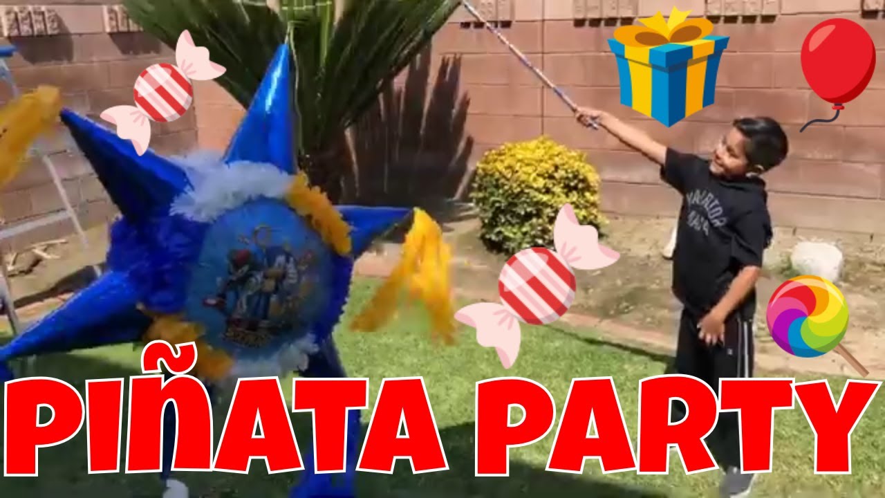 Birthday Party Fun Smashing a Sonic The Hedgehog Pinata