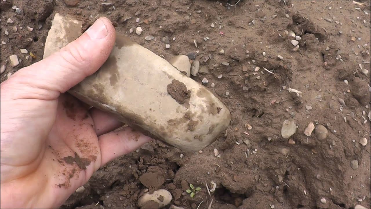 Lots of Rain = Lots of finds! Welcome to Lamokaville!