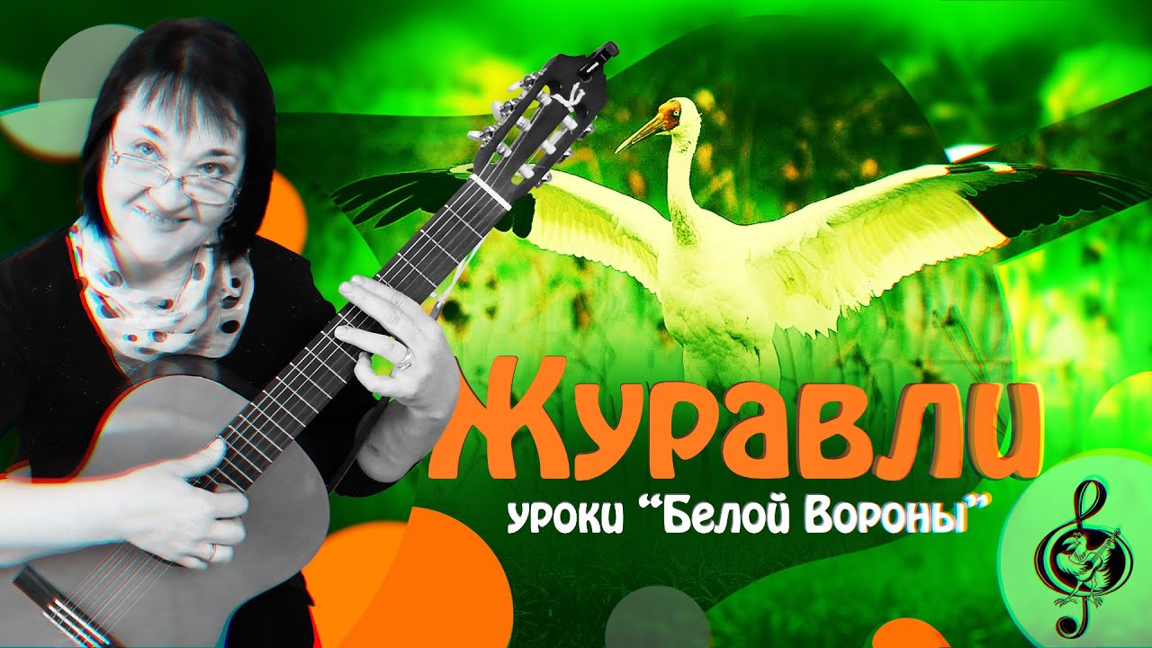 🎸 