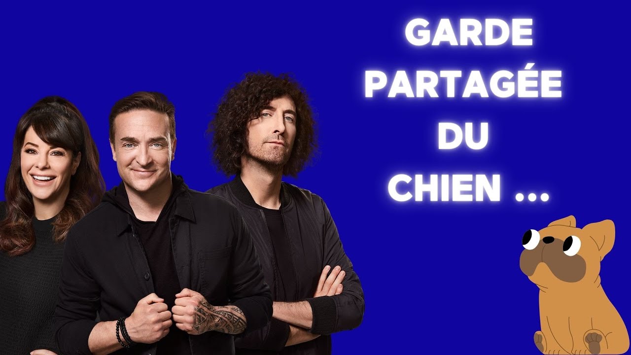 [ÉNERGIE] Il veut la garde partagée de son chien... son ex explose! 🐕🤯 – Révélations