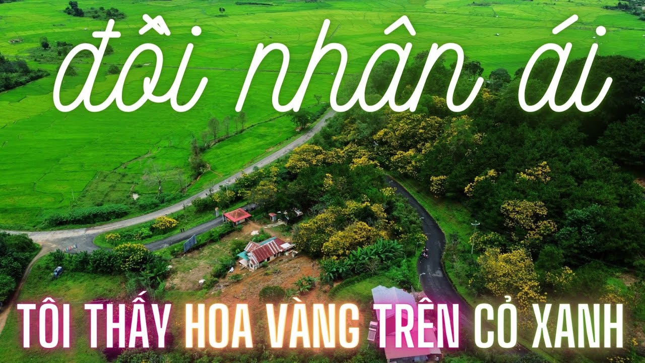 Trại Phong Di Linh | Di Linh - Lâm Đồng