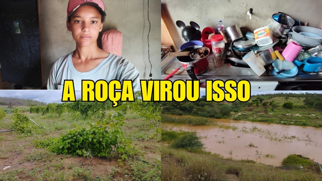 Depois da chuva, olha como ficou nossa roça… foi difícil