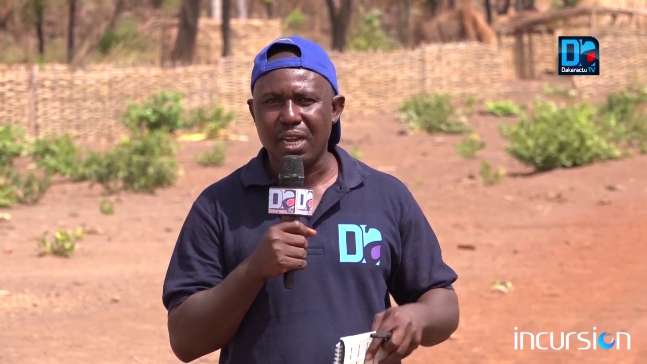 Incursion à saraya De diakha Guemedjié à diakha Macky, cahier de retour d'un village au pays nata