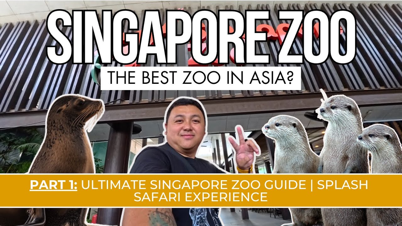 SINGAPORE ZOO GUIDE 2024 🇸🇬 (PART 1) | SINGAPORE VLOG 2024