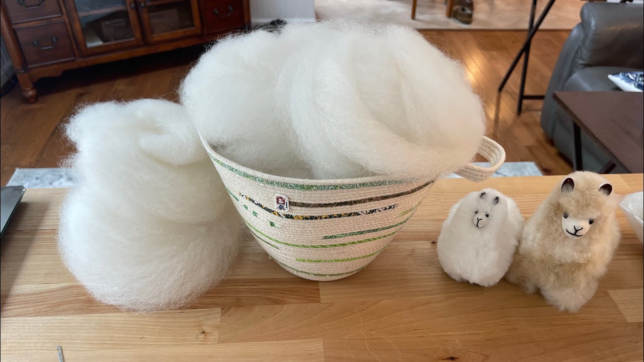 How To Scour Alpaca Fleece: Lu(cious) From North Coast Alpacas!