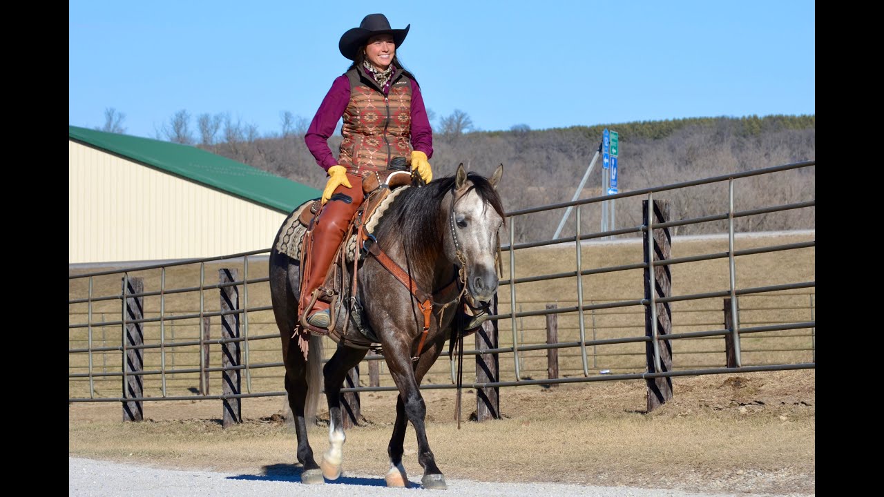 SR Desperado - “Smoke” Hip # 233 February 22nd @billingslivestockcommissio3747