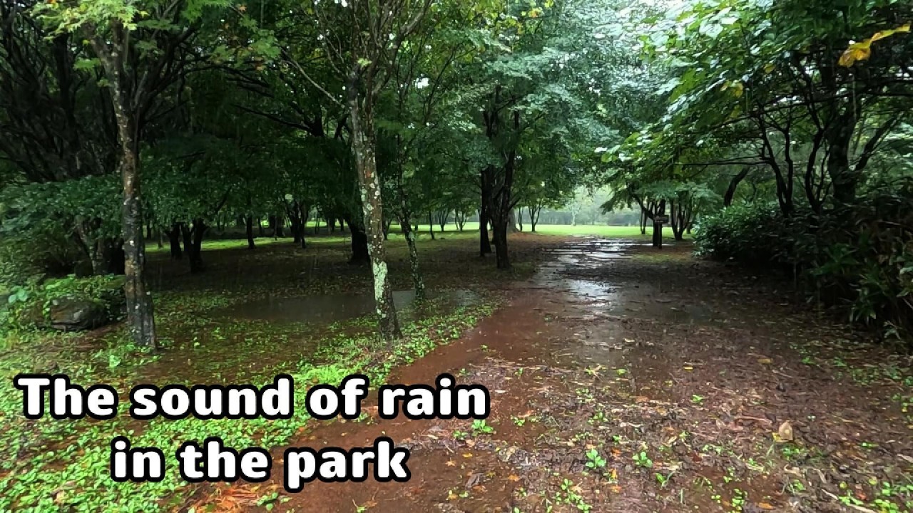 Rain in the Park (White Noise) 🌧️ Relaxing Rain Sounds for Sleeping, Studying & Deep Focus