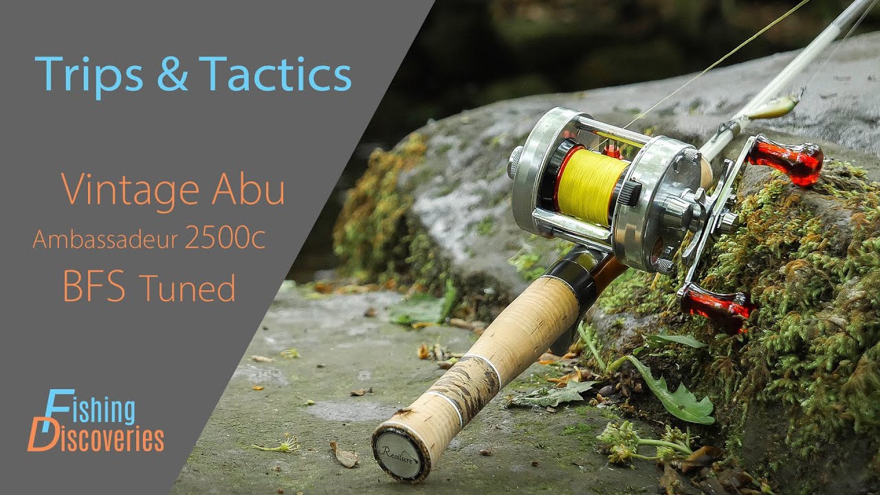 Ambassadeur 2500C (BFS Tuned) & Glass Rod: First Fish Caught after Reel Restoration
