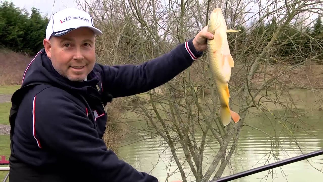 Colmic - Roubasienne nelle Fisheries