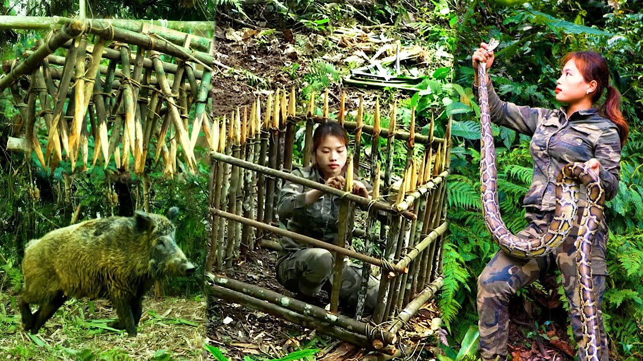一次看爽之極品妹子跳入河中追擊野豬，編織超大魚籠捕魚河魚，烹煮豬食馴養野豬，捕捉山雞直接製作叫花雞，《麗姐荒野求生》第六季完整版！