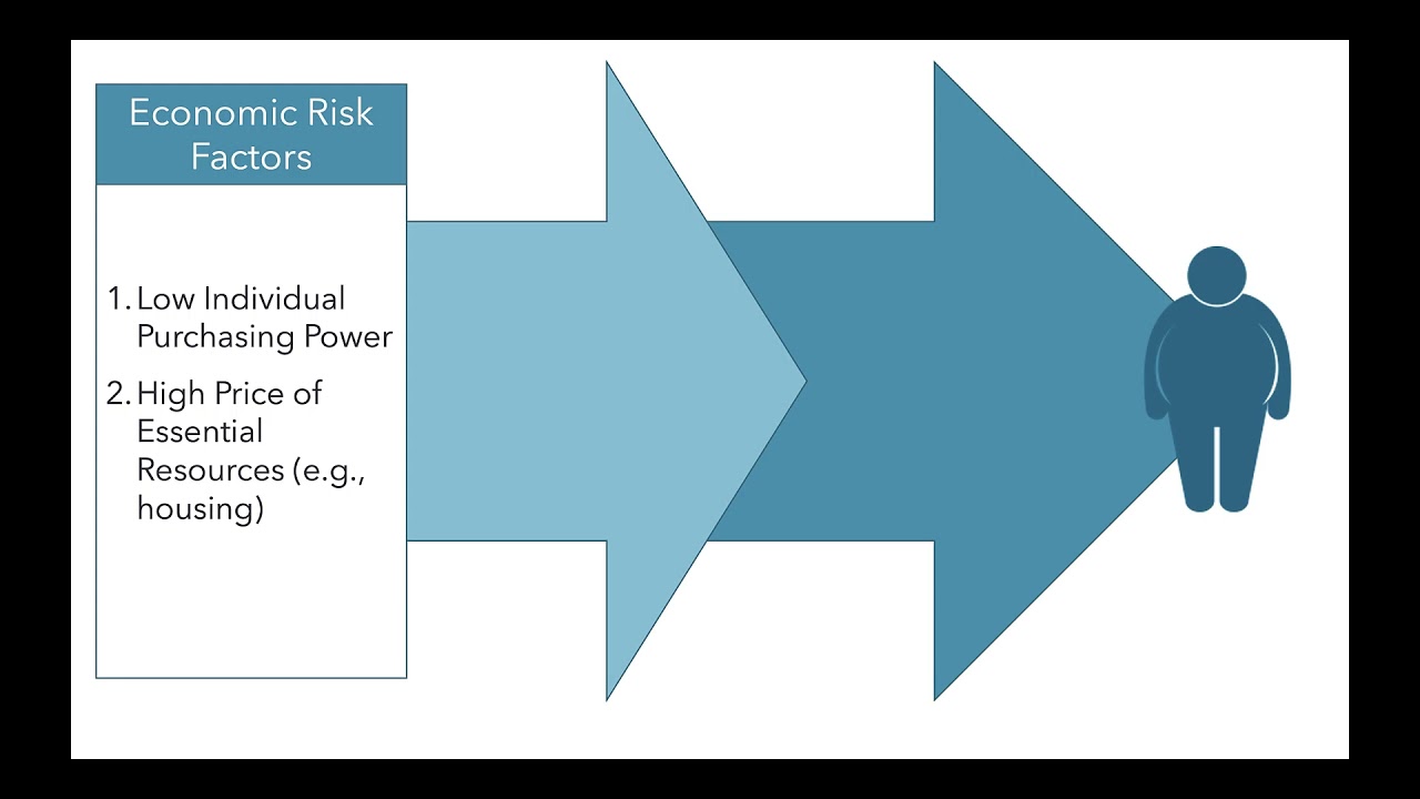 Influences of Social, Economic, and Physical Environments on Obesity Risk