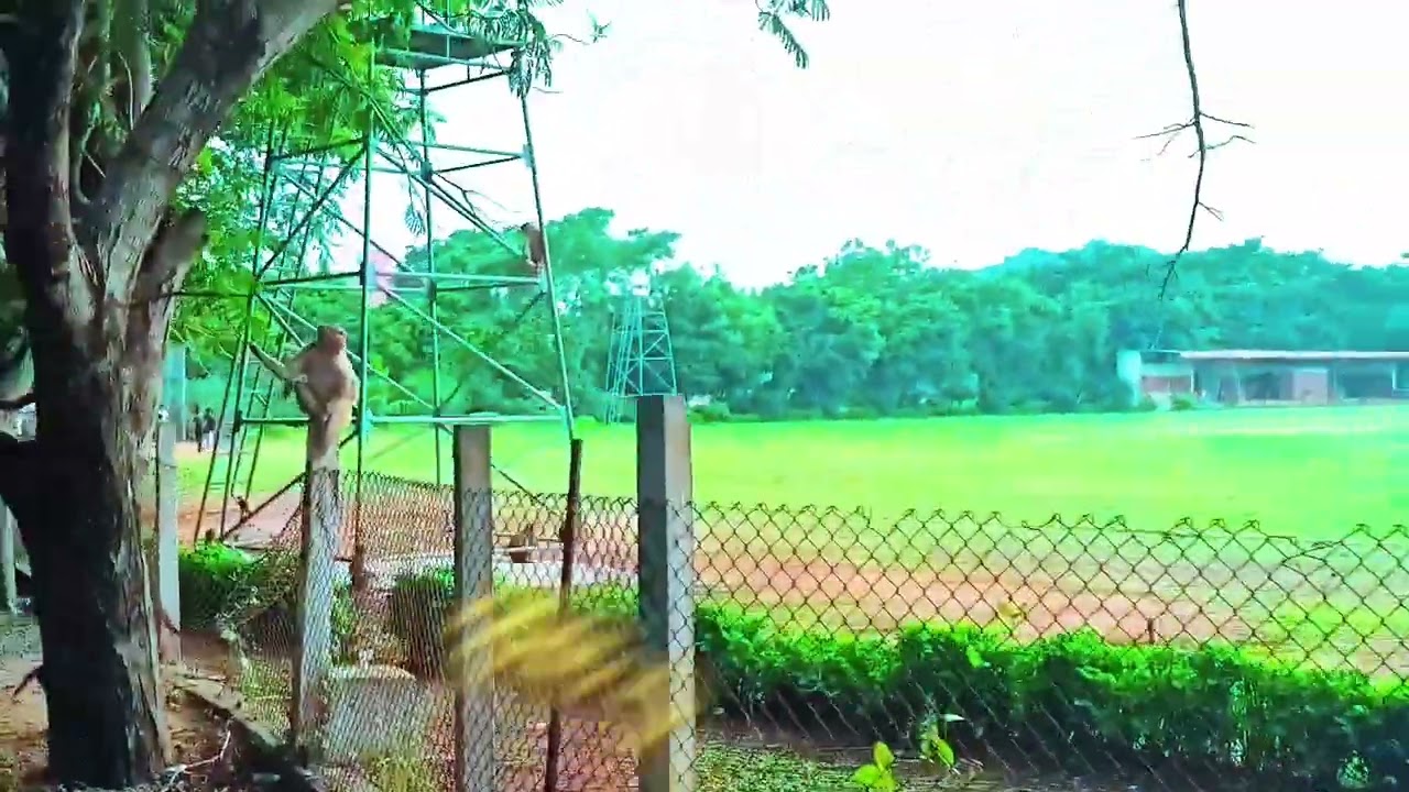 RVR & JC COLLEGE out side and hostel facilities 🥹\\#rvrjc #youtube #hostel