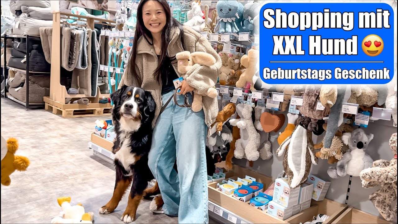 Shopping mit XXL Hund 😍 Happy Birthday 2. Geburtstag! Geschenk einkaufen VLOG | Mamiseelen