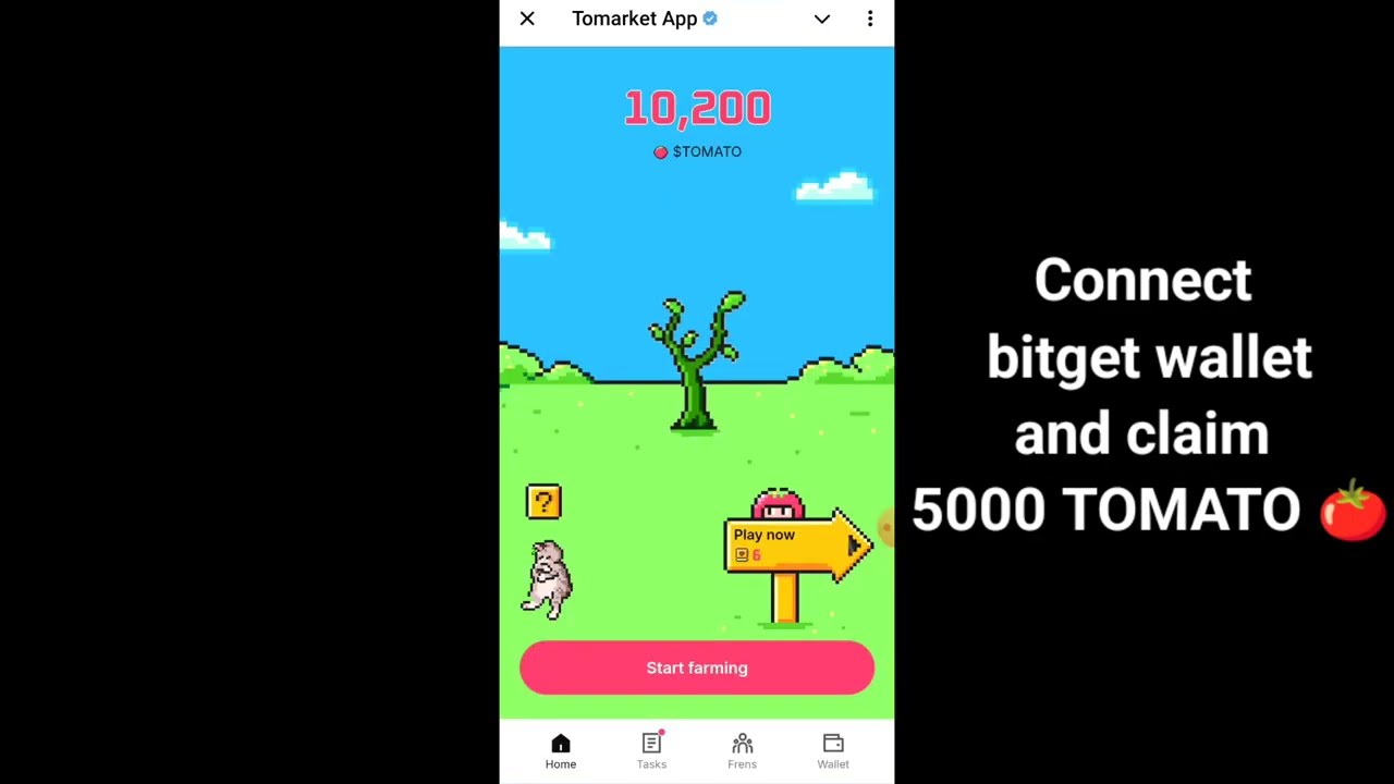 Claim Tomato Airdrop | Tomarket Airdrop | Tomato Listing Date | Telegram Bot Airdrop