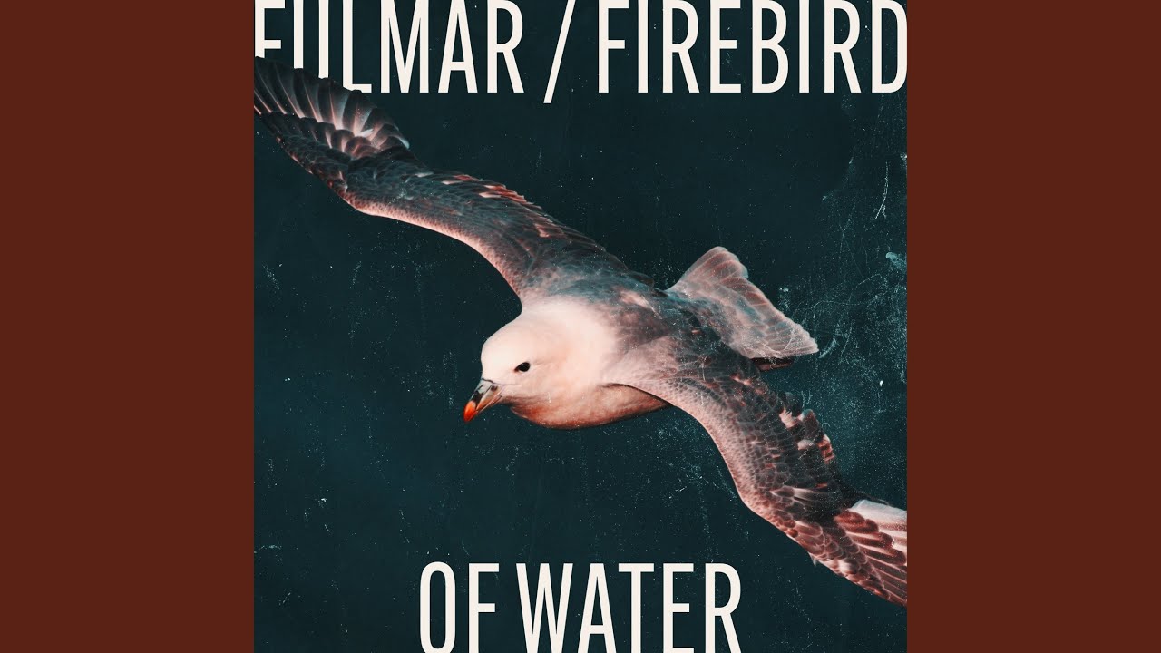 Fulmar