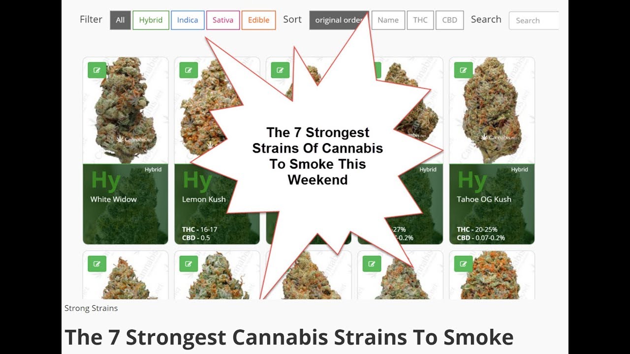 The 7 Strongest Cannabis Strains On Earth