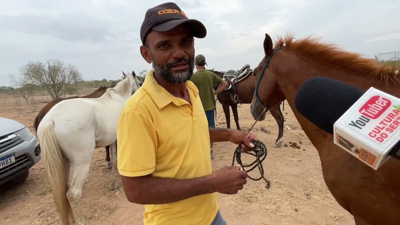 Cavalos de 500 em Senador Rui palmeira - AL 20 - 01 - 2026 #nordeste