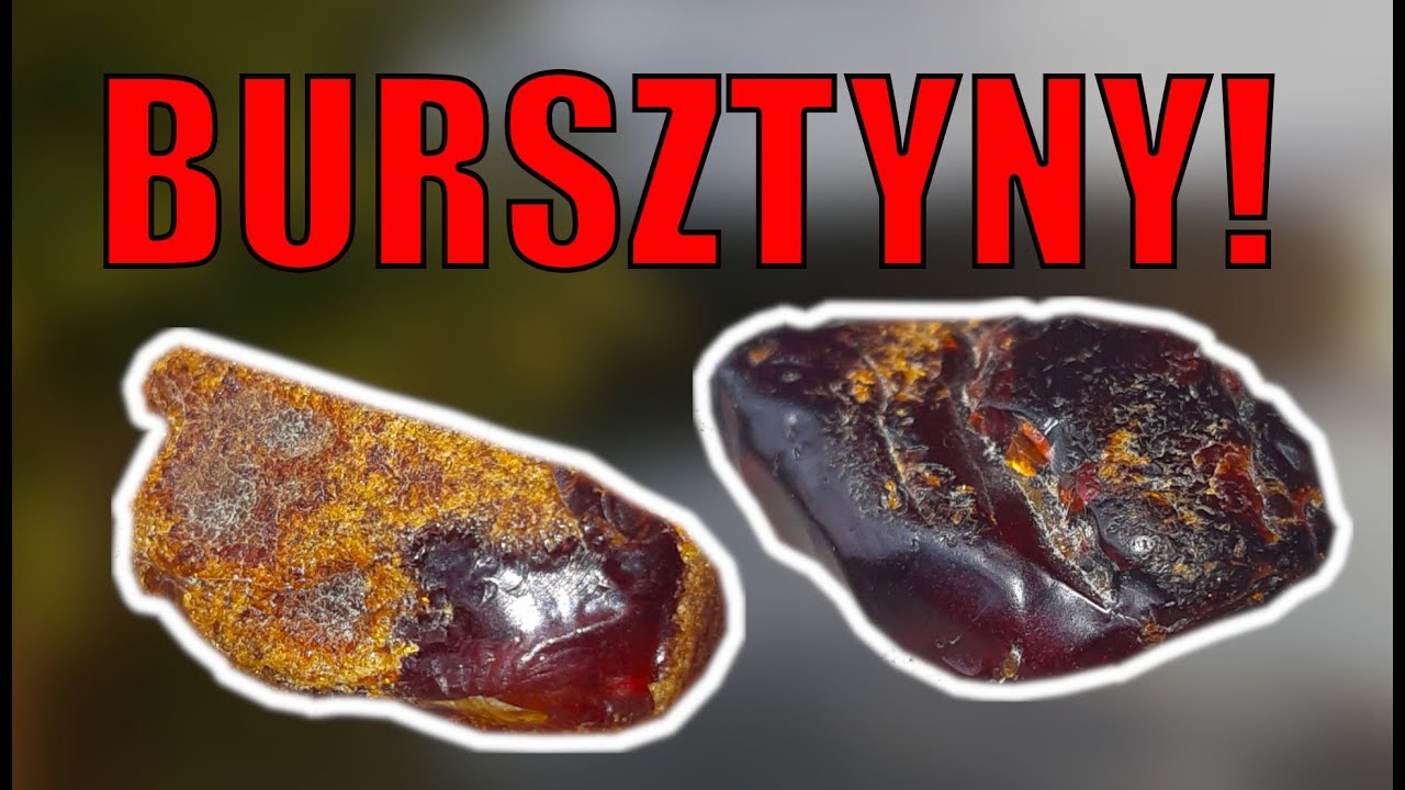 Bursztyn z jeziora!