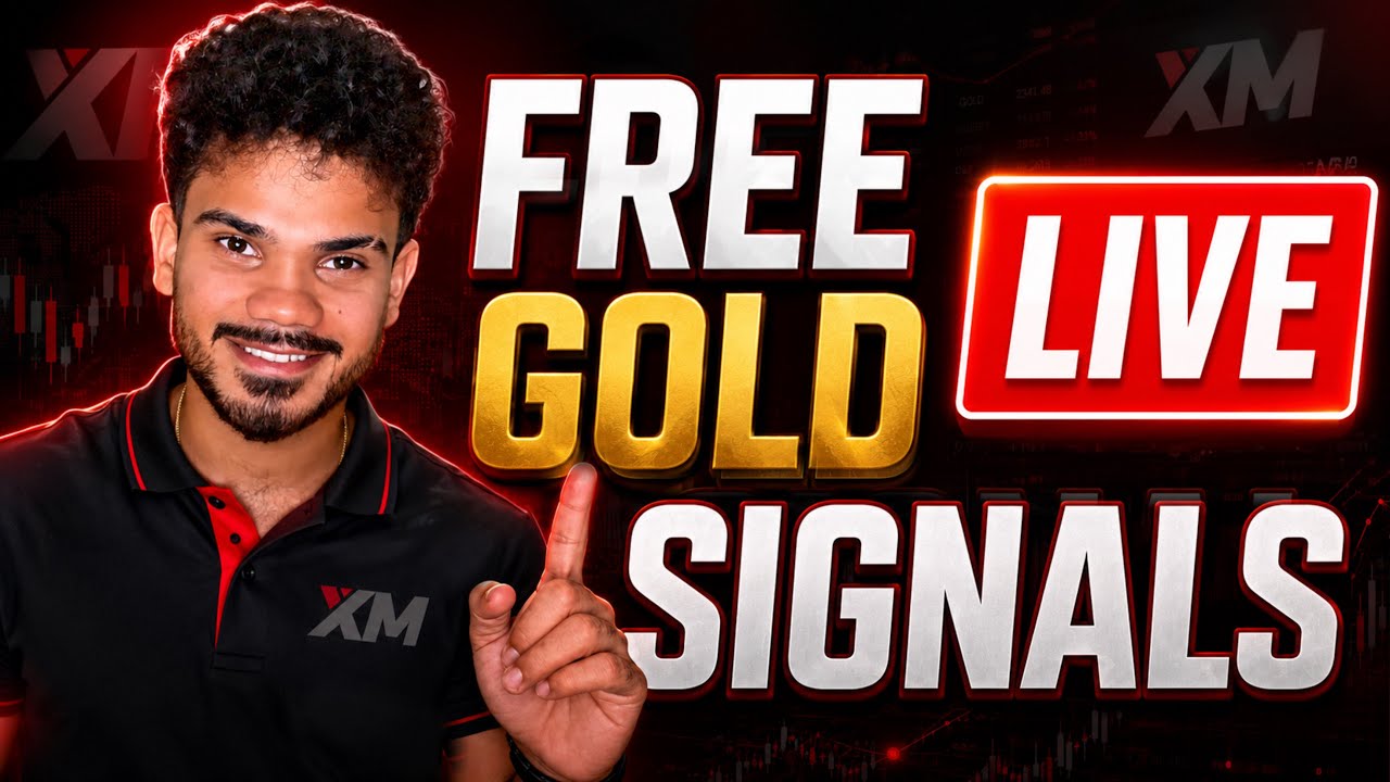 Gold Trading Signals for beginners - Future Trading signal group - XM trading tutorial