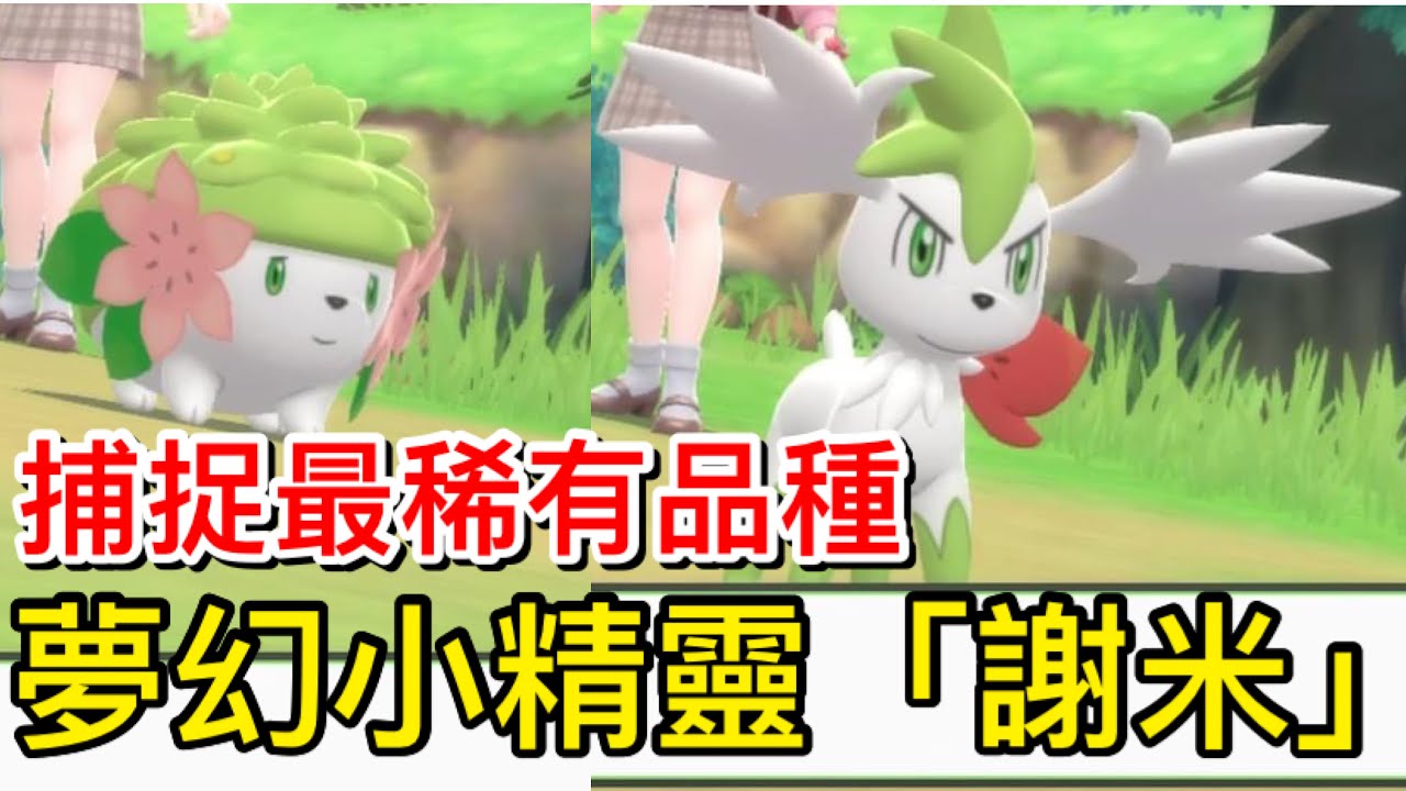 【寶可夢 晶燦鑽石】￼ ver1.1.1 前往聖域「花之樂園」捕捉神聖小精靈「謝米」，詳細說明及天空形態變身方法