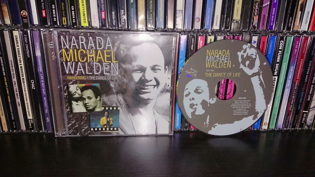 NARADA MICHAEL WALDEN  - I Shoulda Loved Ya
