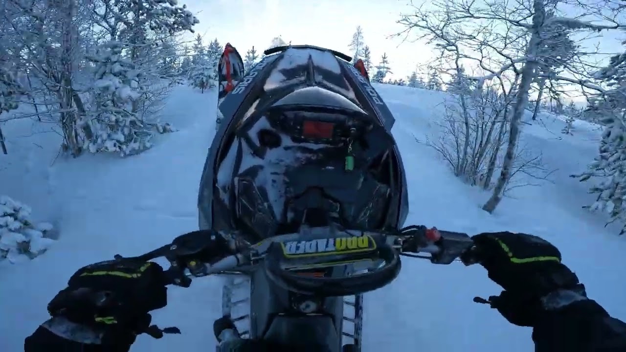 scandinavian beast 800