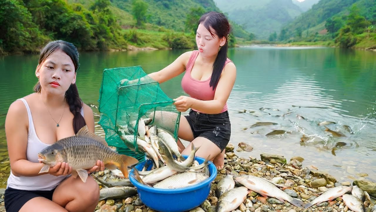 Gadis cantik memikat ikan mas menggunakan metode sederhana | Memanen ikan besar