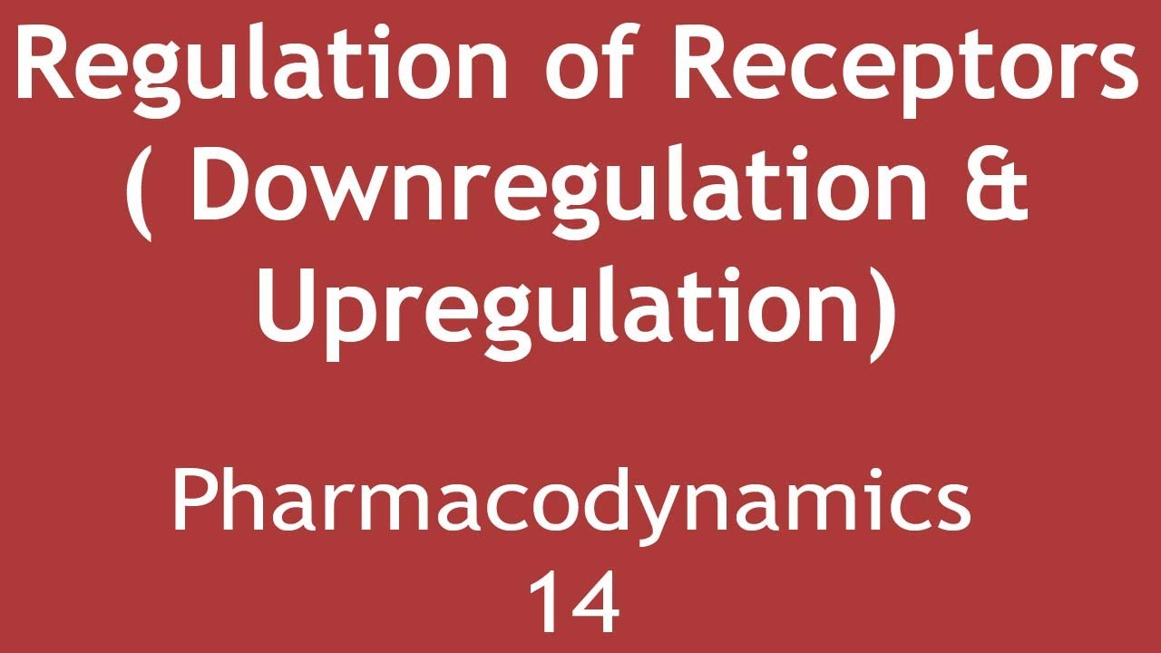 Regulation of Receptors (Downregulation & Upregulation) Pharmacodynamics Part 14 | Dr. Shikha Parmar